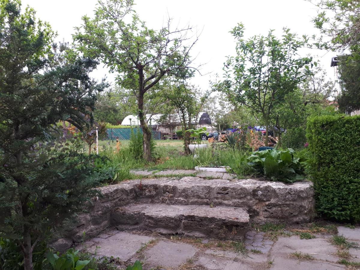 Hotel La Mariana Vama Veche Zewnętrze zdjęcie